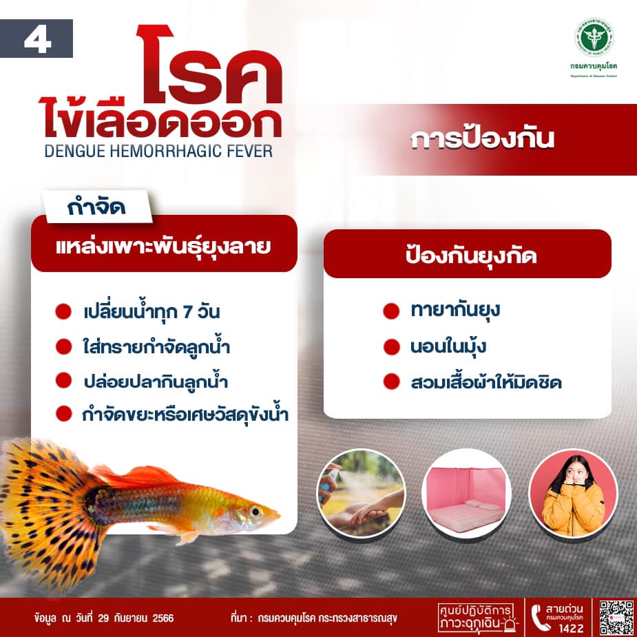 โรคไข้เลือดออก