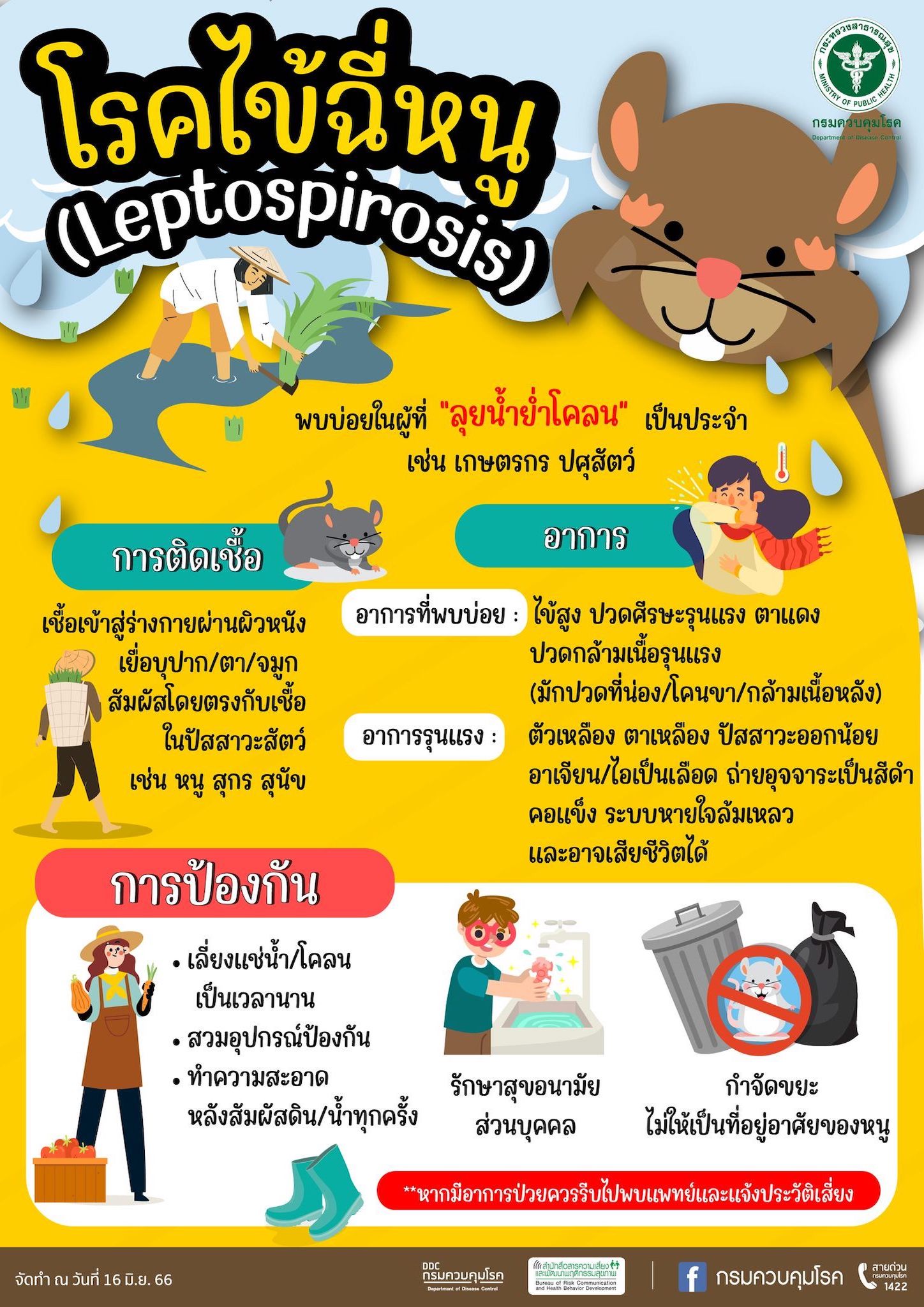 โรคเลปโตสไปโรซิส