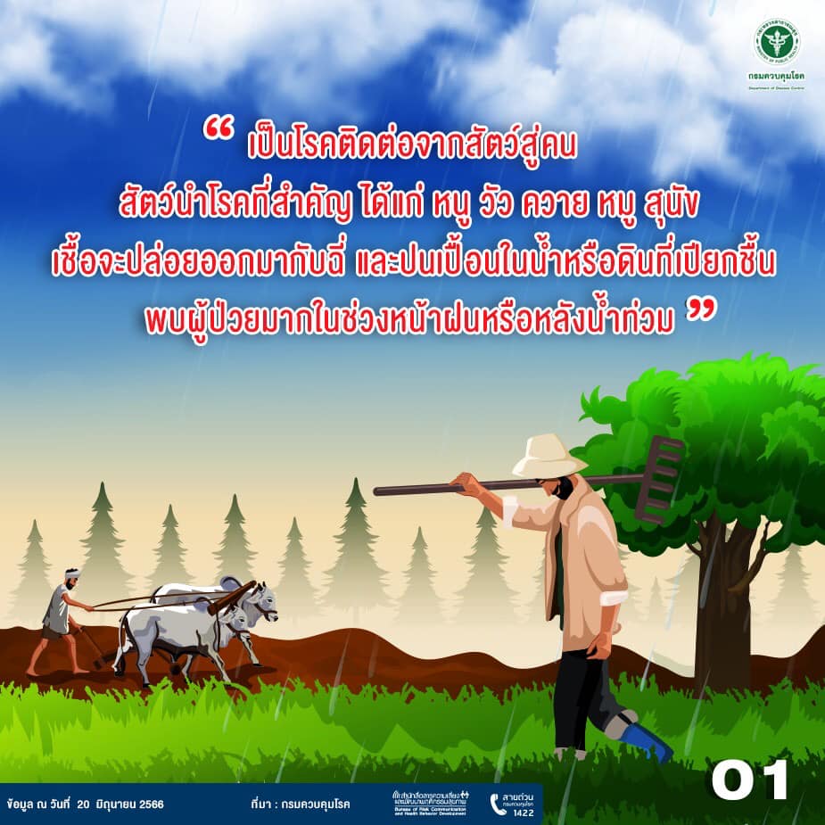 เลปโตสไปโรซิส